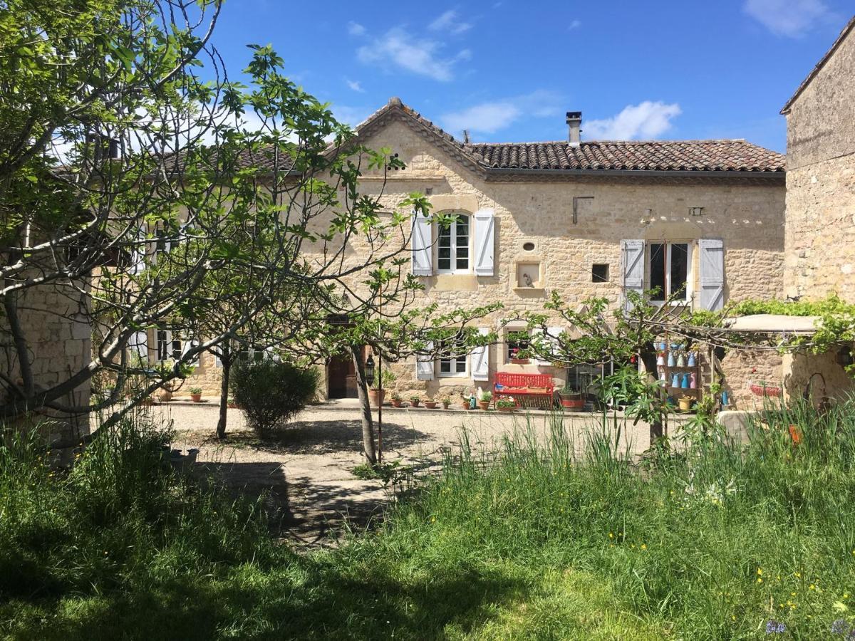 Puechblanc Gites Et Chambre D'Hote Dans Le Triangle D'Or Gaillac-Albi-Cordes Sur Ciel Fayssac エクステリア 写真