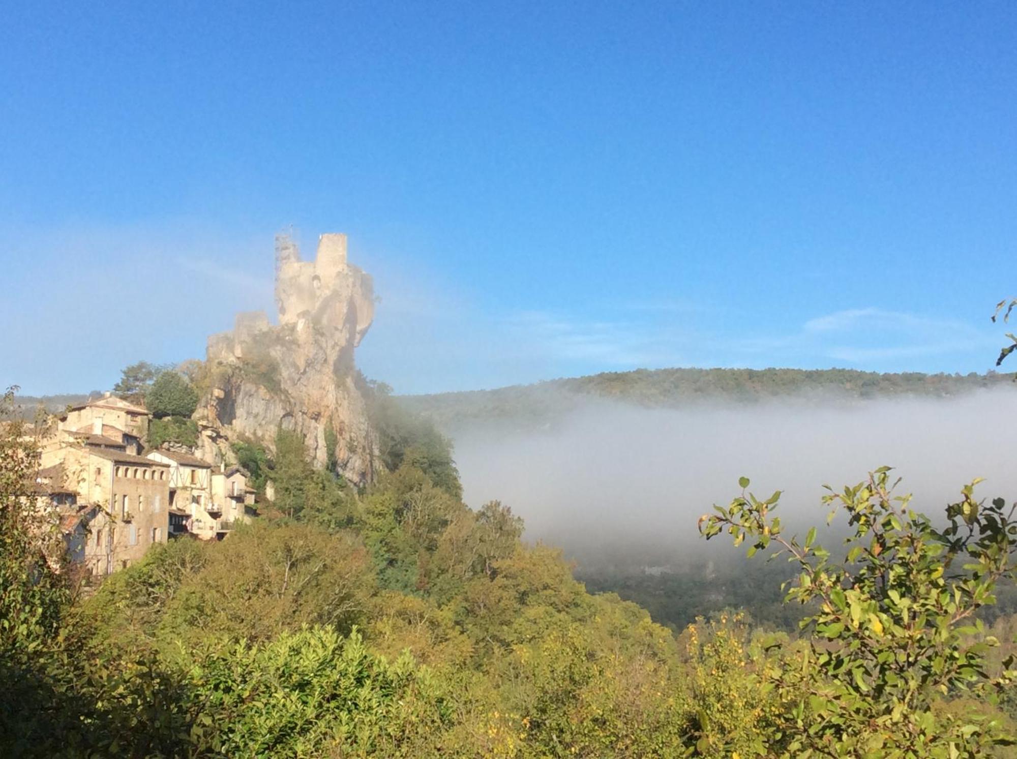 Puechblanc Gites Et Chambre D'Hote Dans Le Triangle D'Or Gaillac-Albi-Cordes Sur Ciel Fayssac エクステリア 写真