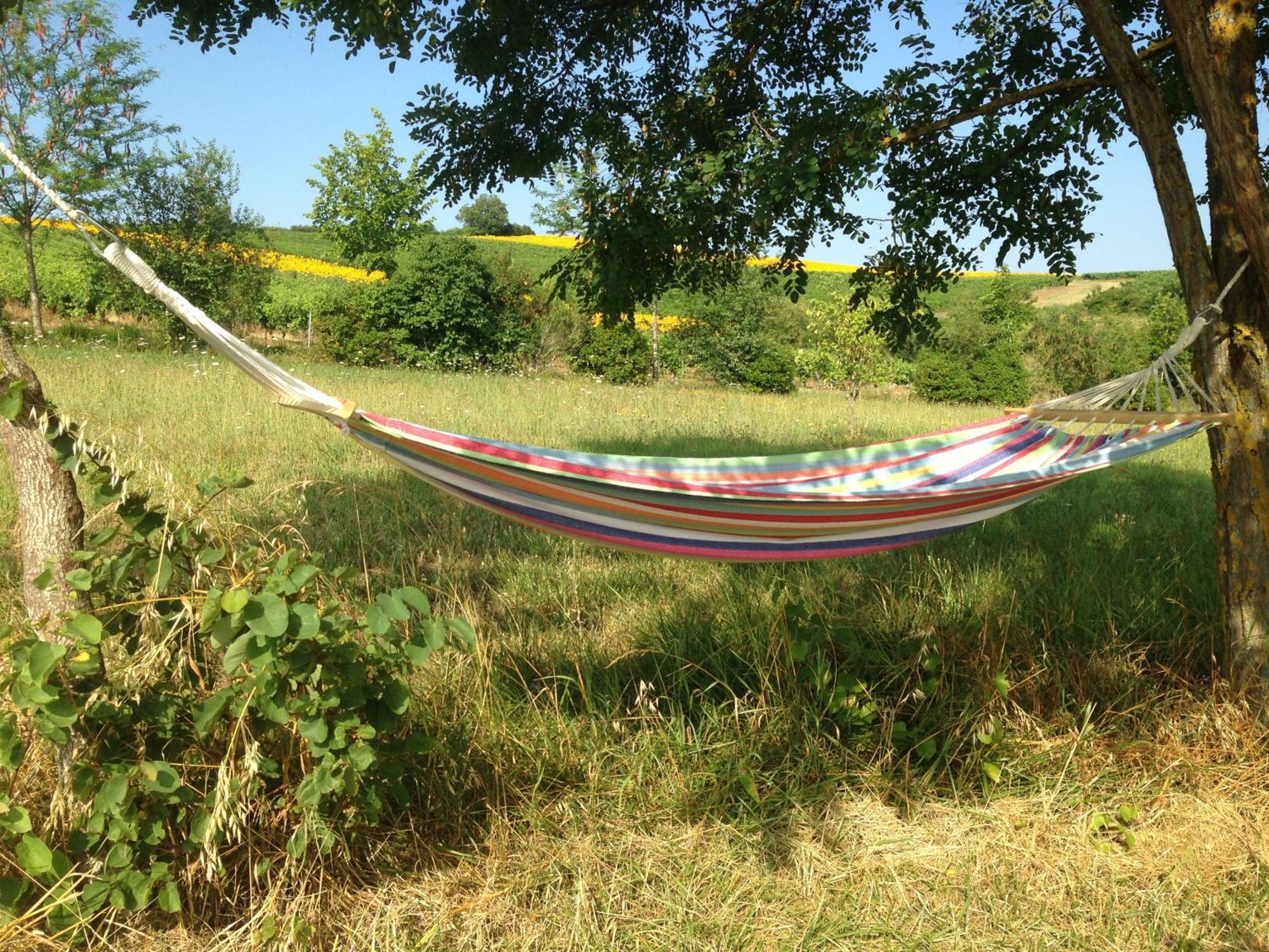 Puechblanc Gites Et Chambre D'Hote Dans Le Triangle D'Or Gaillac-Albi-Cordes Sur Ciel Fayssac エクステリア 写真