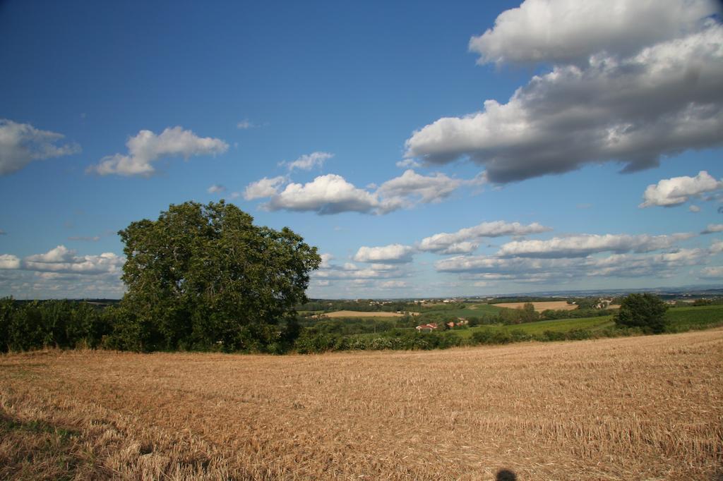 Puechblanc Gites Et Chambre D'Hote Dans Le Triangle D'Or Gaillac-Albi-Cordes Sur Ciel Fayssac エクステリア 写真